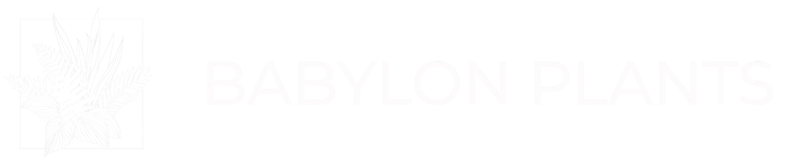 Babylon Plants Wholesale plant nursery logo