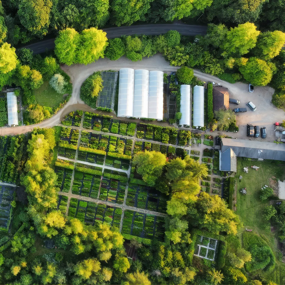 Aerial Photograph of Babylon Plants Sustainable Wholesale plant nursery